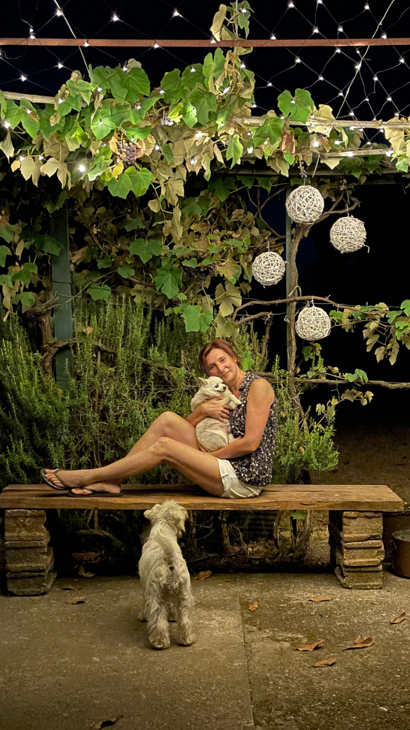 Katia seduta sotto una pergola verde illuminata da piccole luci