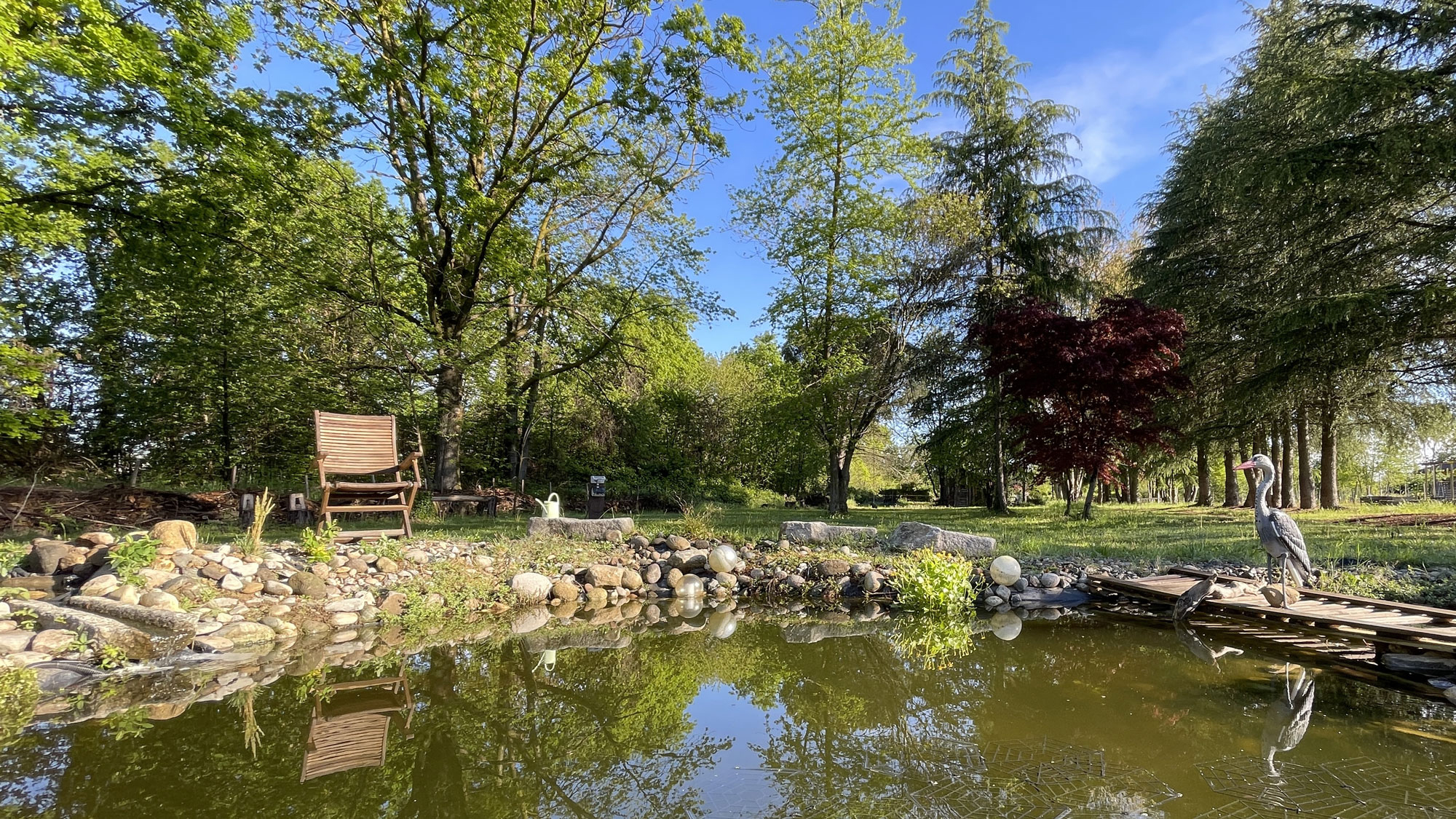 Laghetto in un giardino verde con alberi e una panchina